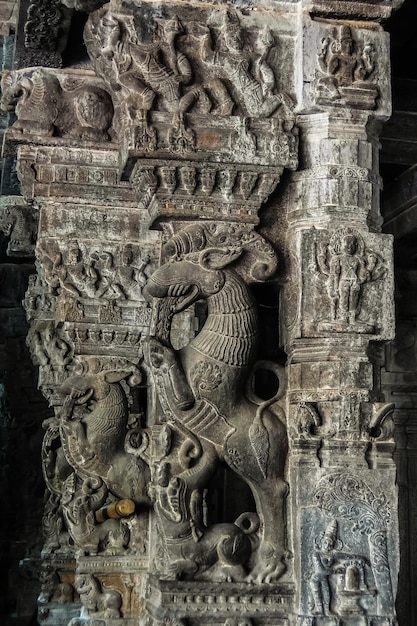 Kanchipuram India Vista del tempio Sri Ekambaranathar a Kanchipuram Dettagli dell'architettura