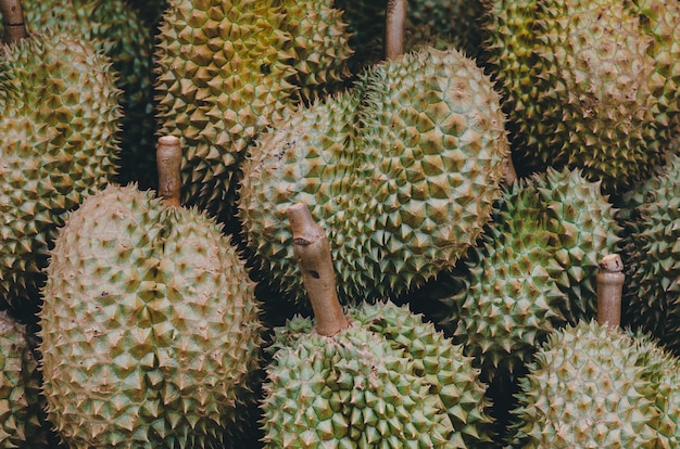 Kanyao Durian sullo sfondo dello scaffale da mostrare all&#39;acquirente