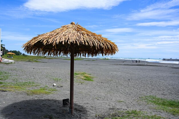 Kaohsiung Taiwan JUL 16 2023 La spiaggia di Qijin è un'attrazione turistica di Kaohsiong