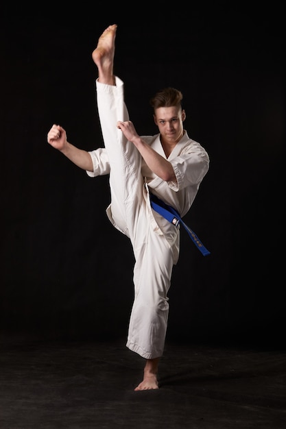 Karate in posa