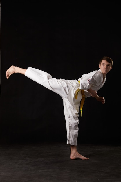 Karate in posa