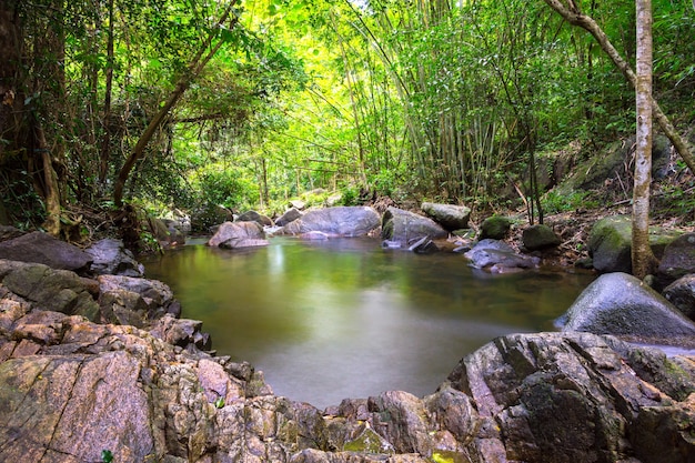 Kathu Waterfall a Phuket è un&#39;area protetta che circonda la lussureggiante foresta verde