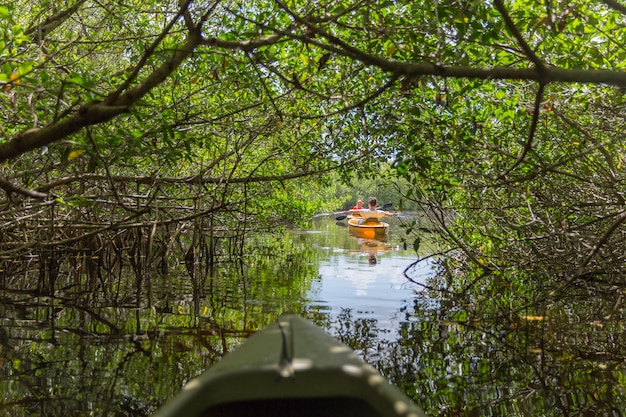 Kayak nel parco nazionale delle Everglades, Florida, USA