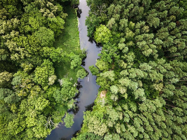 Kayak sul fiume nella fauna selvatica in estate Polonia