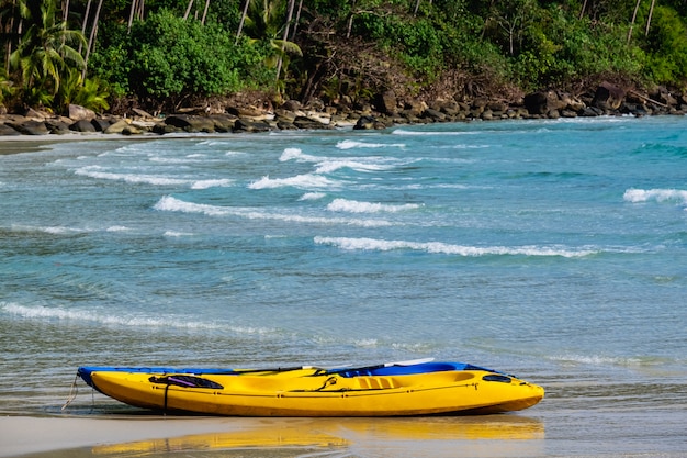 Kayak sulla spiaggia