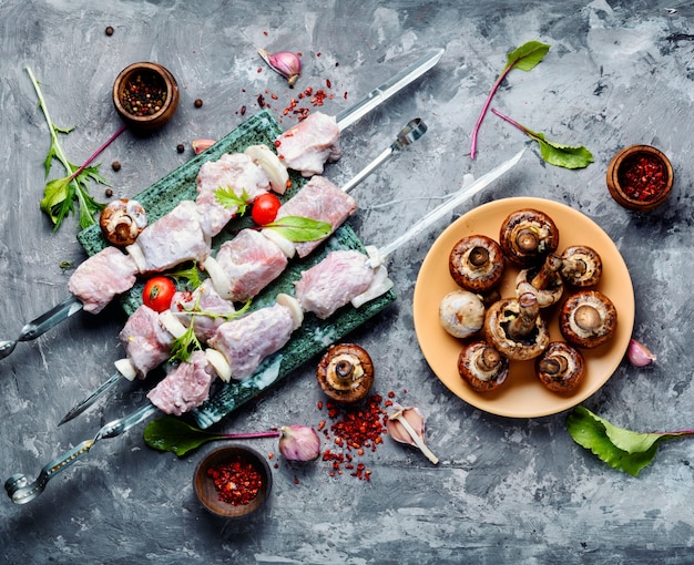 Kebab crudo di carne