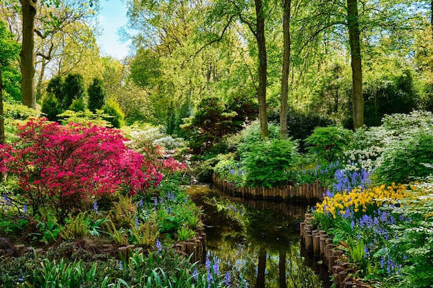 Keukenhof giardino fiorito Lisse Paesi Bassi