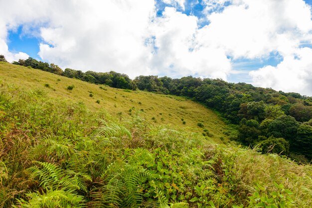 Kew Mae Pan Nature Trail Sentiero che conduce attraverso la giungla