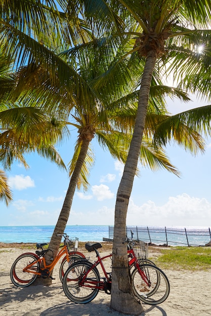 Key West Florida Beach Clearence S Higgs