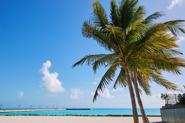 Key West Florida Beach Clearence S Higgs