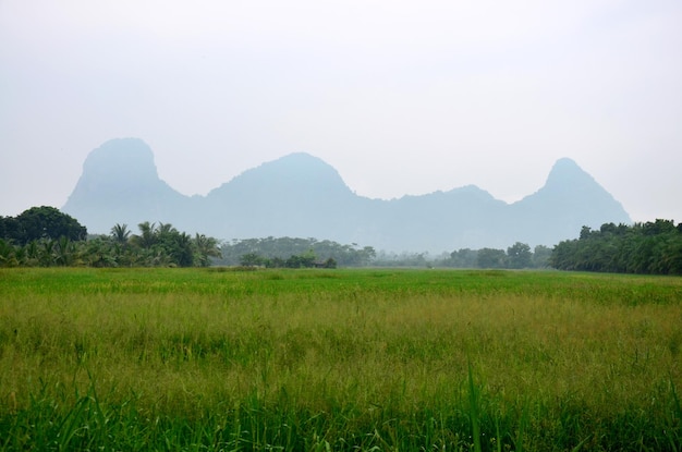 Khao Oktalu Mountain o The Hole Mountain con campo di riso nella provincia di Phatthalung nel sud della Thailandia