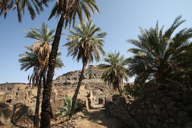 Khaybar a nord della Medina nell'Hejaz