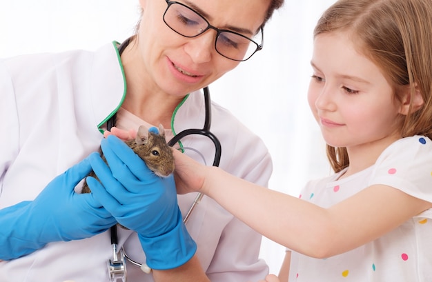 Kid ha portato il suo animale domestico dal veterinario