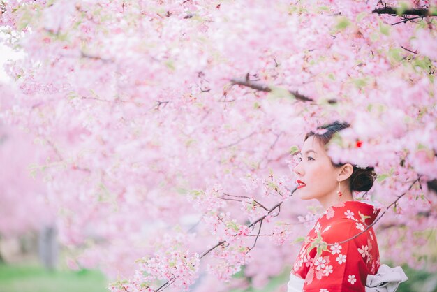 Kimono d&#39;uso della donna asiatica con i fiori di ciliegia, sakura nel Giappone.