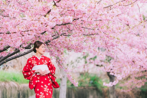 Kimono d&#39;uso della donna asiatica con i fiori di ciliegia, sakura nel Giappone.