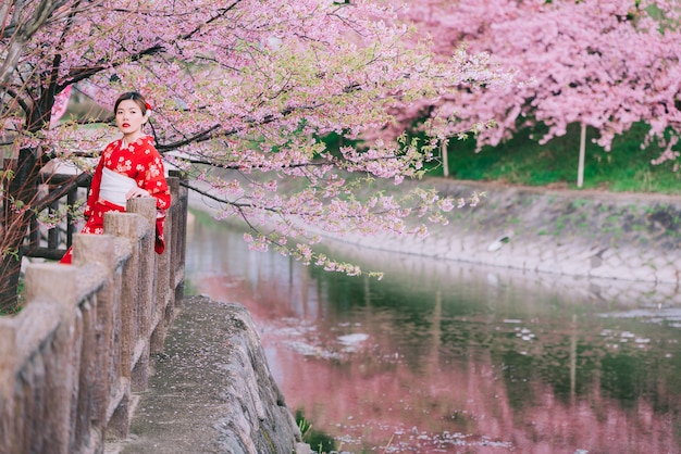 Kimono d'uso della donna asiatica con i fiori di ciliegia, sakura nel Giappone.