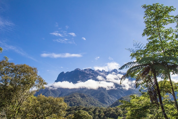 Kinabalu Mountian