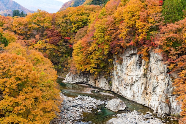 Kinugawa nella stagione autunnale