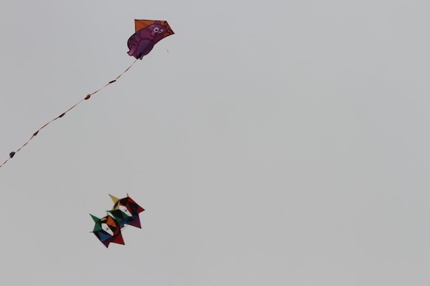 kite festival