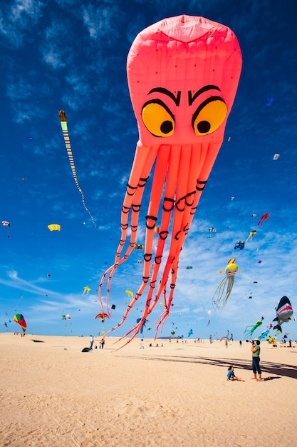 kite festival