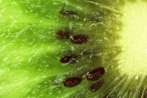 kiwi closeup