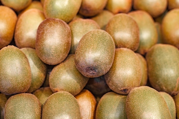 Kiwi molti frutti impilati in file nel fuoco selettivo del supermercato