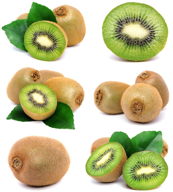 kiwi