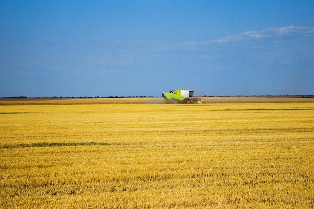 Kombain raccoglie sul raccolto di grano Macchine agricole nel campo Raccolto di grano