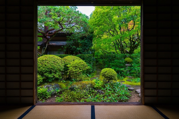 Koto nel tempio zen famoso per il suo giardino