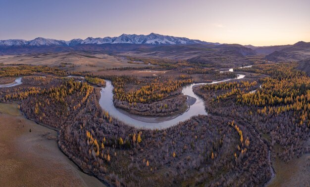 Kurai steppa, fiume Chuya, larici gialli e montagne al tramonto in autunno. Vista aerea. Monti Altai, Russia.