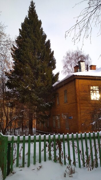 l'abete rosso cresce vicino alla casa in inverno