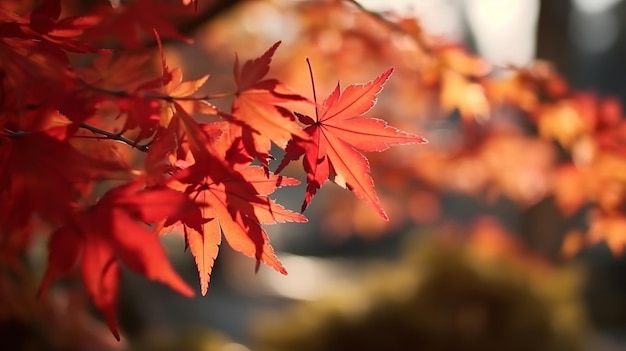 L'acero critico si schiarisce al momento della raccolta, giornata di sole nella zona frontale e fondamenta nebbiose. Risorsa creativa generata dall'IA