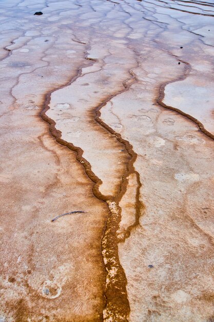 L'acqua alcalina scorre su terrazze uniche nella sorgente di Yellowstone