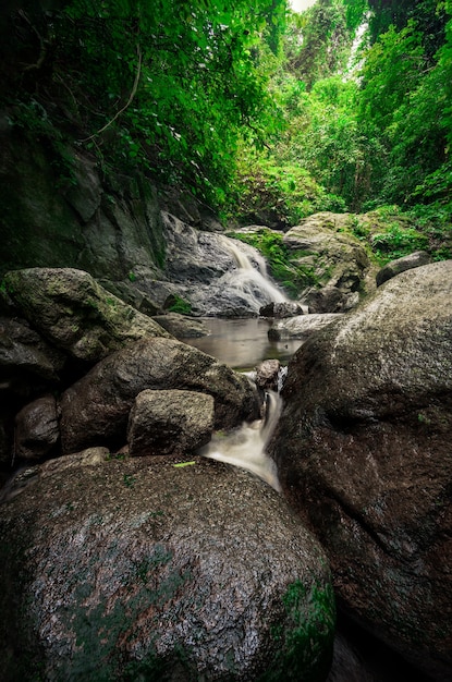 L&#39;acqua cade nella foresta con la luce del sole