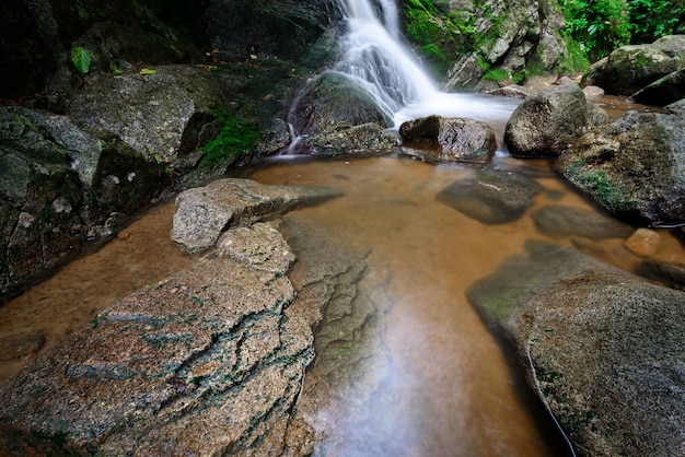 L&#39;acqua cade nella foresta con la luce del sole