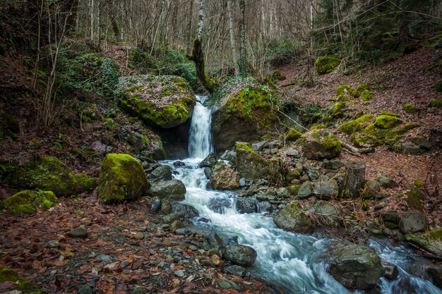 L'acqua che scorre giù per le rocce, muschio sulle rocce, Svaneti, Georgia.