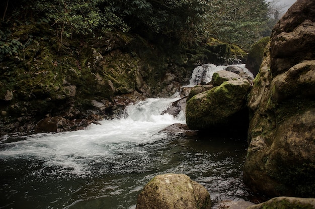 L'acqua del fiume di montagna selvaggio che cade dalle pietre coperte di muschio nei bagni di Afrodite in Georgia