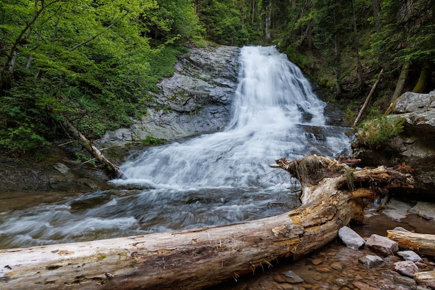 L'acqua del ruscello scorre tra le pietre e scorre sotto un tronco in una foresta