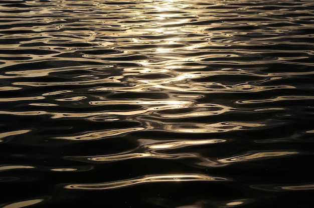 L'acqua è così limpida che il sole splende su di essa.