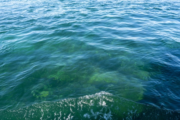 L'acqua è molto limpida e blu.