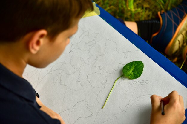 L'adolescente del pittore disegna le foglie in natura.