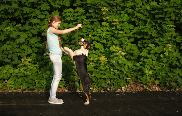 L'adolescente sveglio abbraccia il cucciolo di cane di tre colori del pastore australiano in estate. Formazione. In piedi su due zampe. Proprietario. Gestore. Concetto di cura degli animali domestici. Amore e amicizia tra uomo e animale.