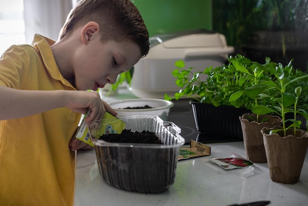 L'adorabile ragazzo dai capelli rossi semina i semi di una pianta in vaso in cucina a casa il concetto di imparare a coltivare piante per i bambini in età prescolare e l'educazione della natura dei bambini