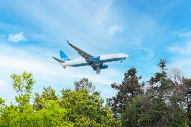 L'aereo sta volando sopra gli alberi nel cielo blu