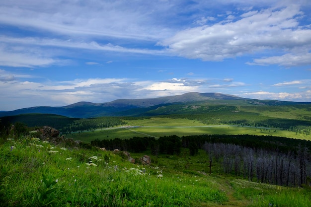 l'affascinante bellezza della natura dell'estate Altai