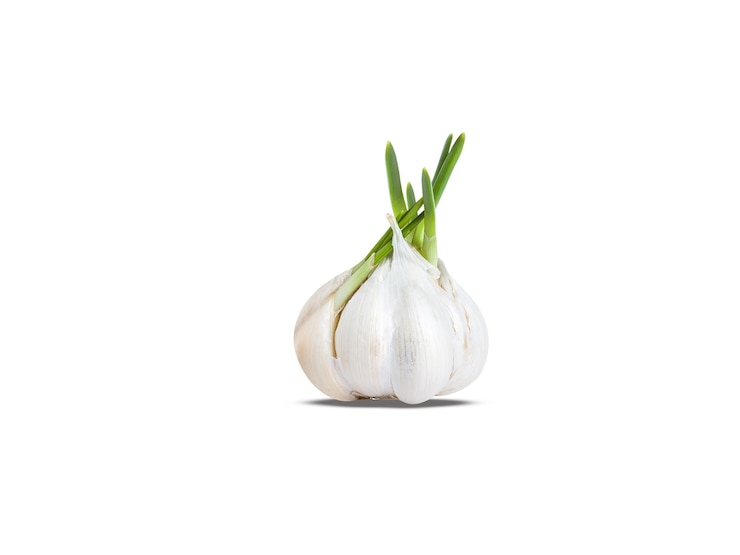 Foto l'aglio o allium sativum è usato sia come aromatizzante alimentare che come medicina tradizionale