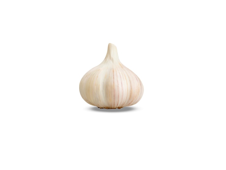 Foto l'aglio o allium sativum è usato sia come aromatizzante alimentare che come medicina tradizionale