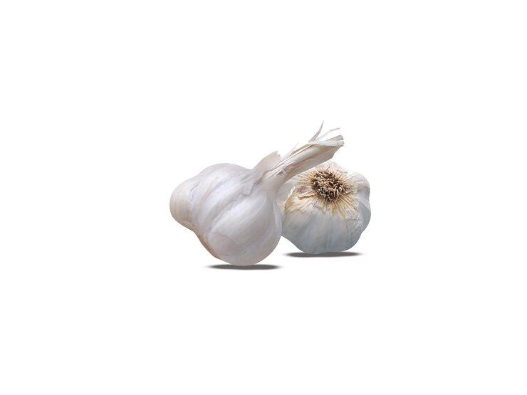 Foto l'aglio o allium sativum è usato sia come aromatizzante alimentare che come medicina tradizionale