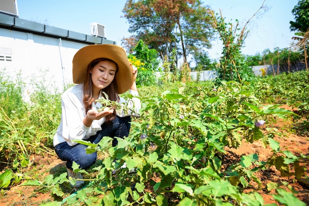 L'agricoltore asiatico si occupa del suo orto biologico e mantiene ortaggi freschi per la sua famiglia.