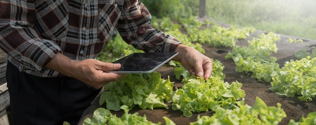 L'agricoltore che controlla la qualità con la tecnologia moderna dell'agricoltura tablet Concetto che utilizza le moderne tecnologie in agricoltura Agricoltore agronomo uomo con computer tablet digitale